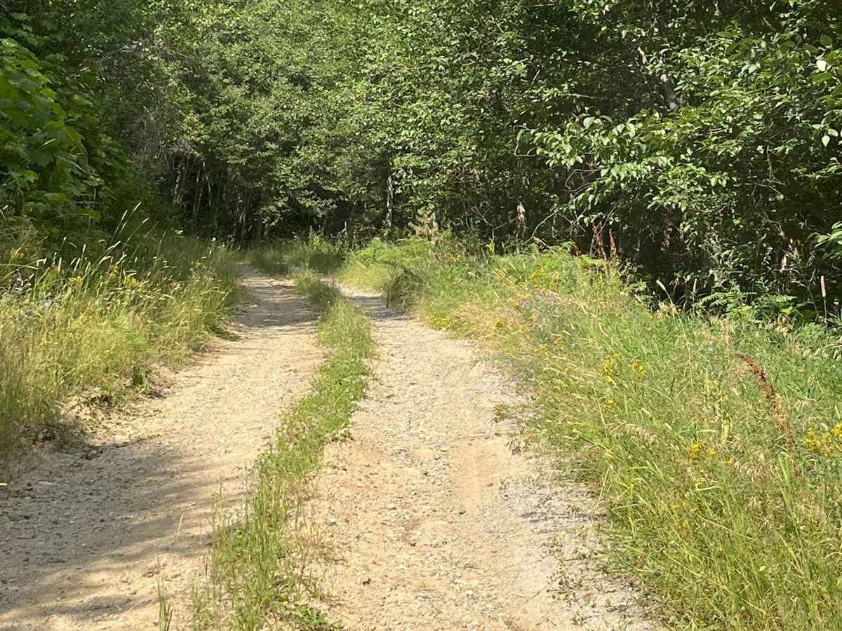 Little Meadow Creek Road photo 2