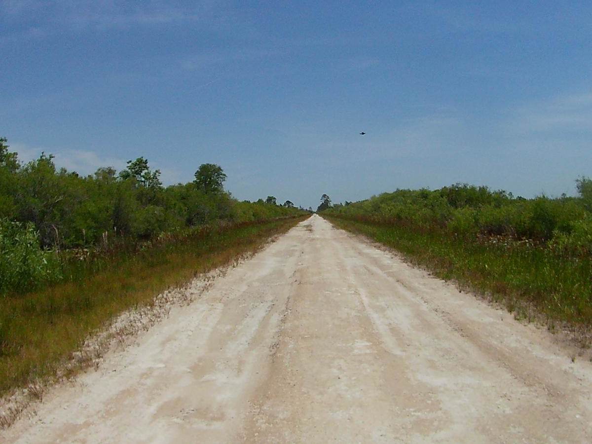 Tom Gunter Road photo 2
