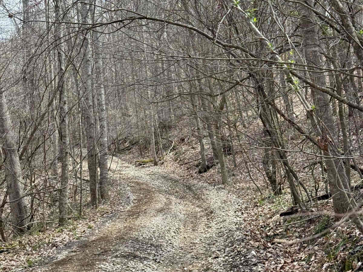Trail 15 photo 5