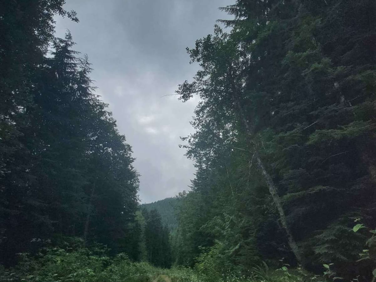 West Mesatchee photo 6