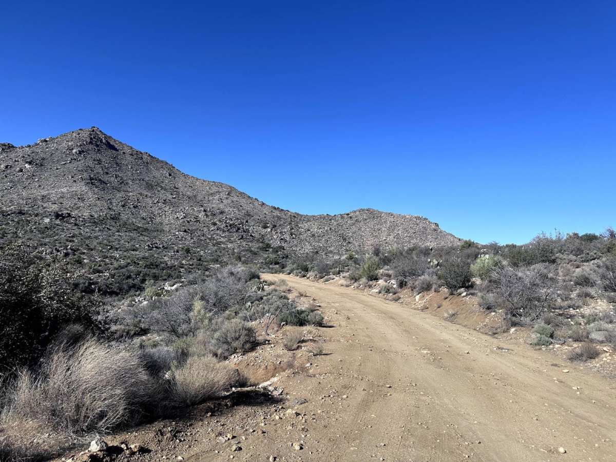 BLM 7252 photo 2