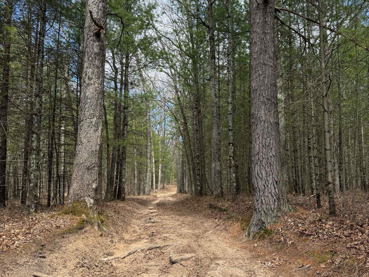 NFS 5149 trail photo