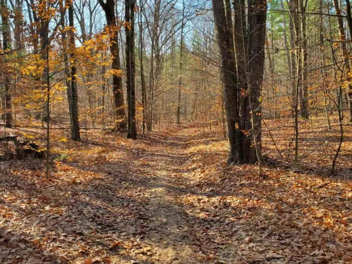 Trail 7325 photo 6