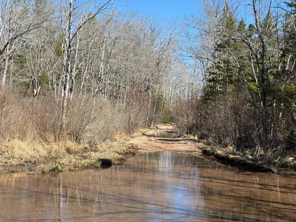South River Lake Trail photo 2