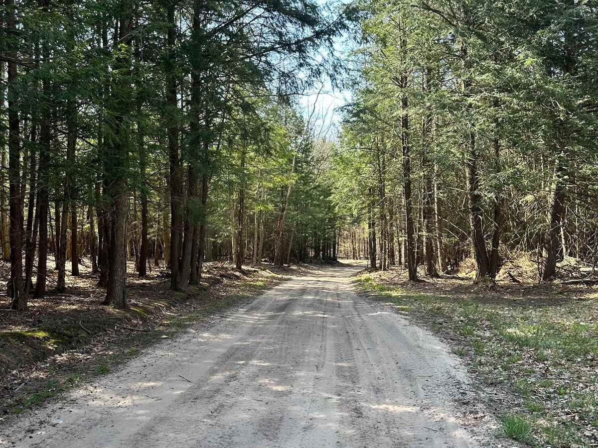 Cadillac Area ORV/OHV Scenic Ride - Part 11 photo 5