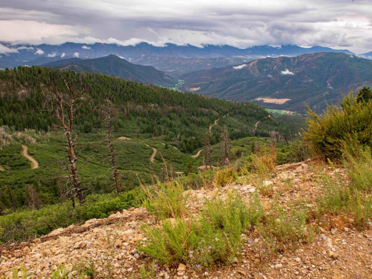 Main Elk Creek photo 3