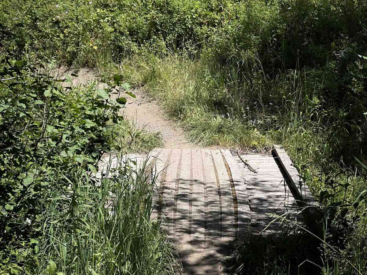 Squaw Creek photo 4