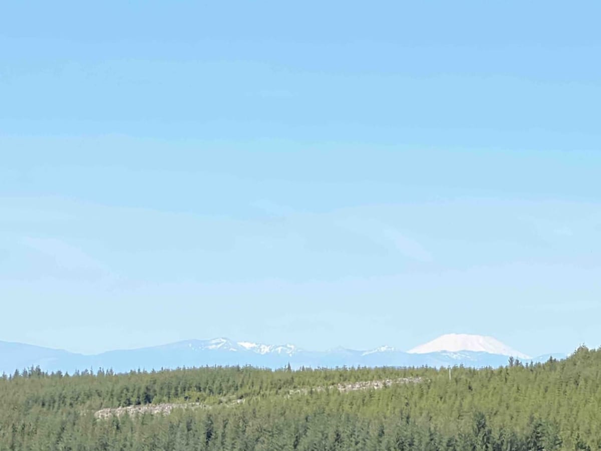 Mt. Hood NFSR 4613000 trail photo