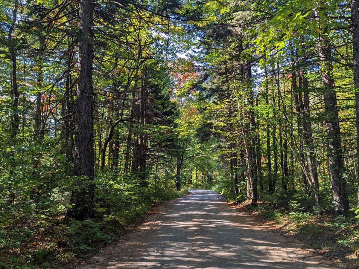 Limekiln Lake Trail photo 4