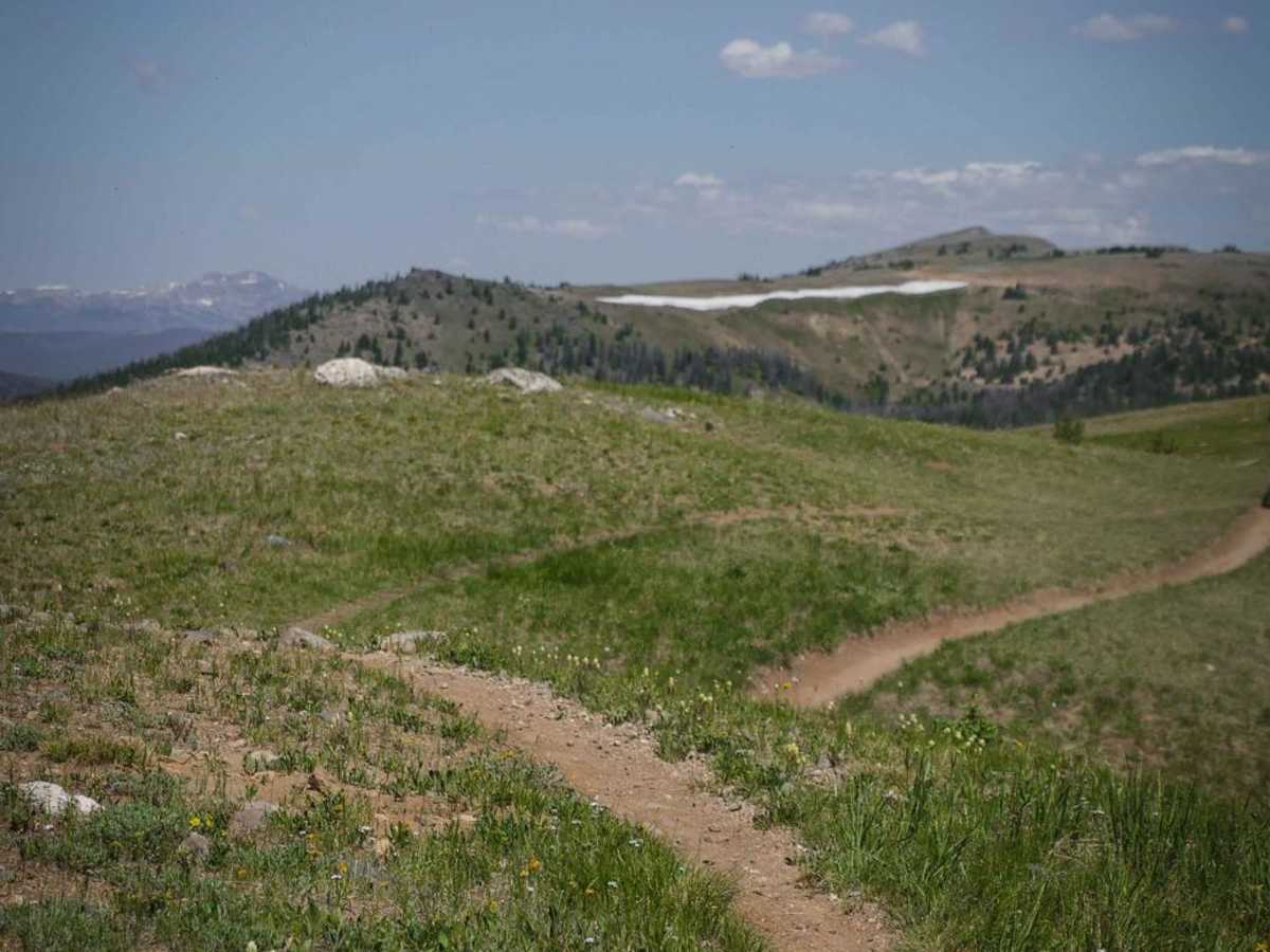 Monarch Crest trail photo