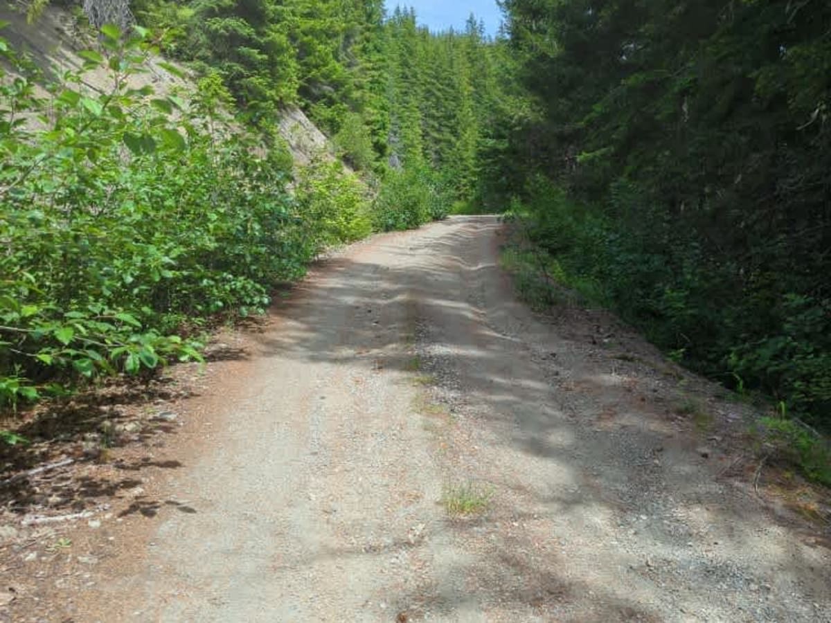 Johnson Ridge Trail photo 5