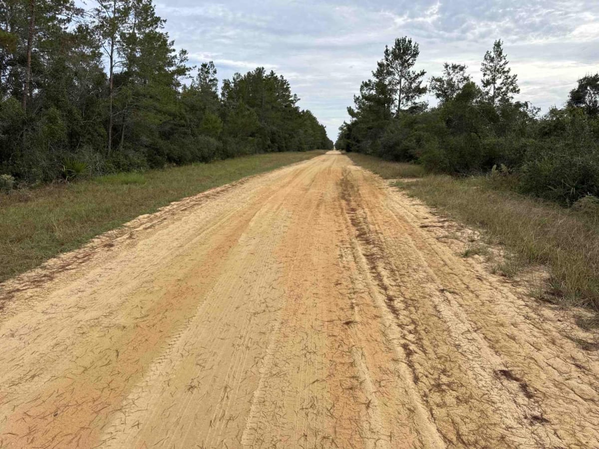 Pipeline Run South Trail - ONF 9 trail photo