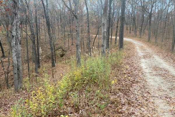 Opossum Trot Road SFR 628