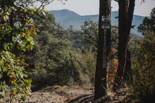 Seven Mile Gulch