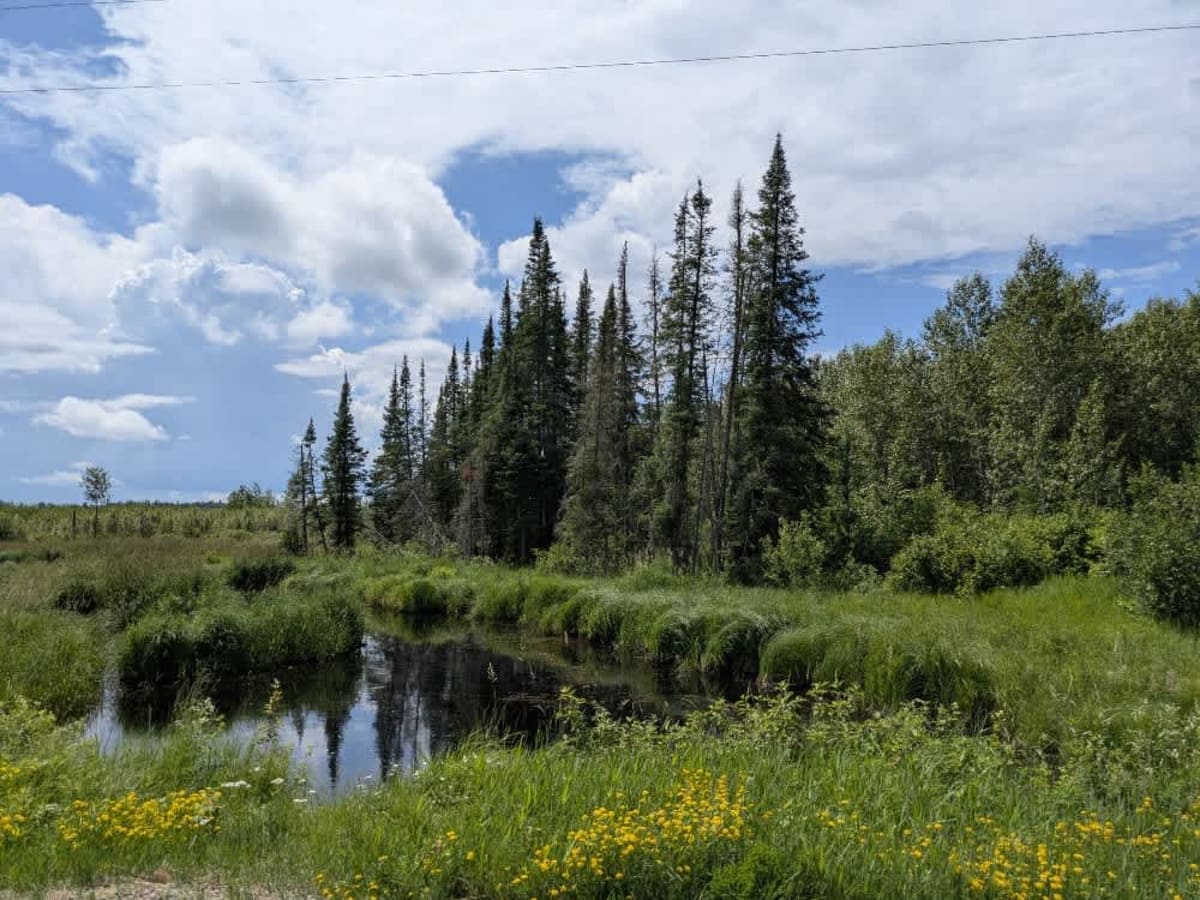 Brown Road photo 6