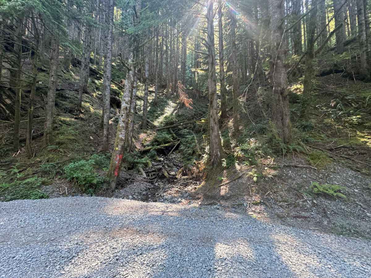 Boardman Lake Trail photo 5