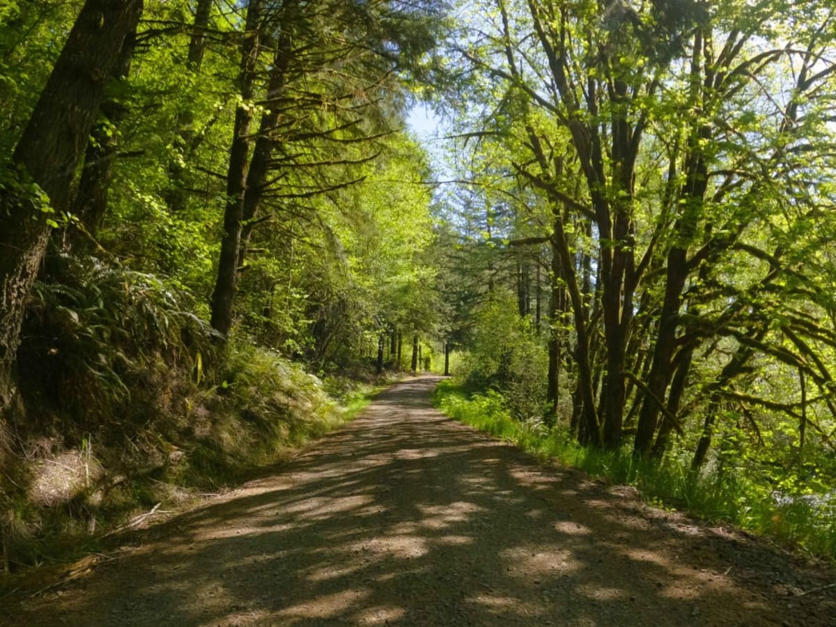 Jordan Creek Road photo 5