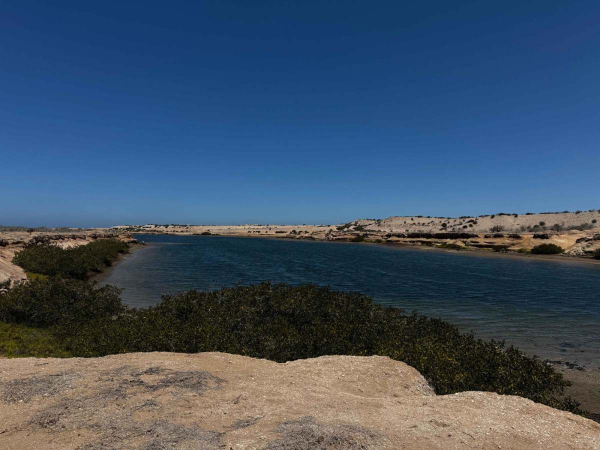 La Rodrigada trail photo