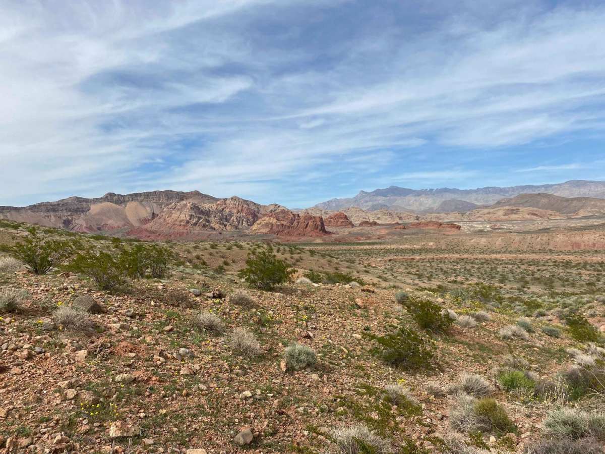Babes Bluff Road photo 6