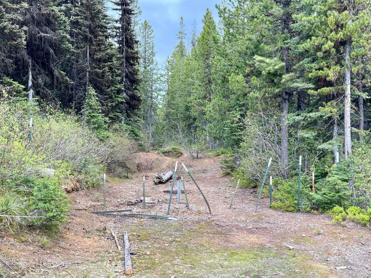 East Fork Rattlesnake photo 3