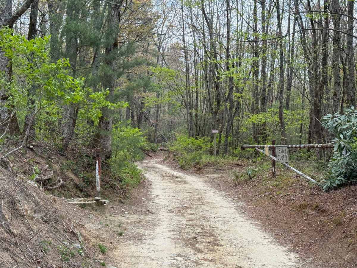 Alfred Woodie Lane trail photo