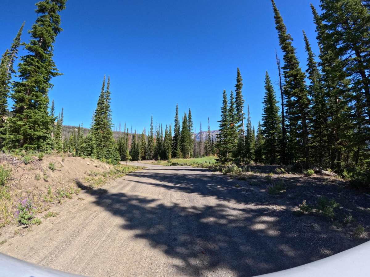 Long Creek Trail photo 5