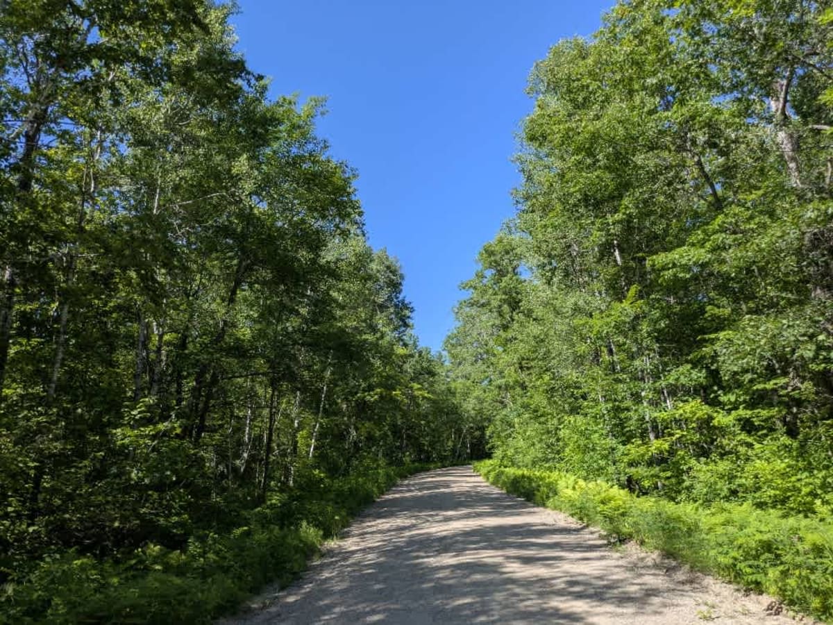 FS 2886 trail photo