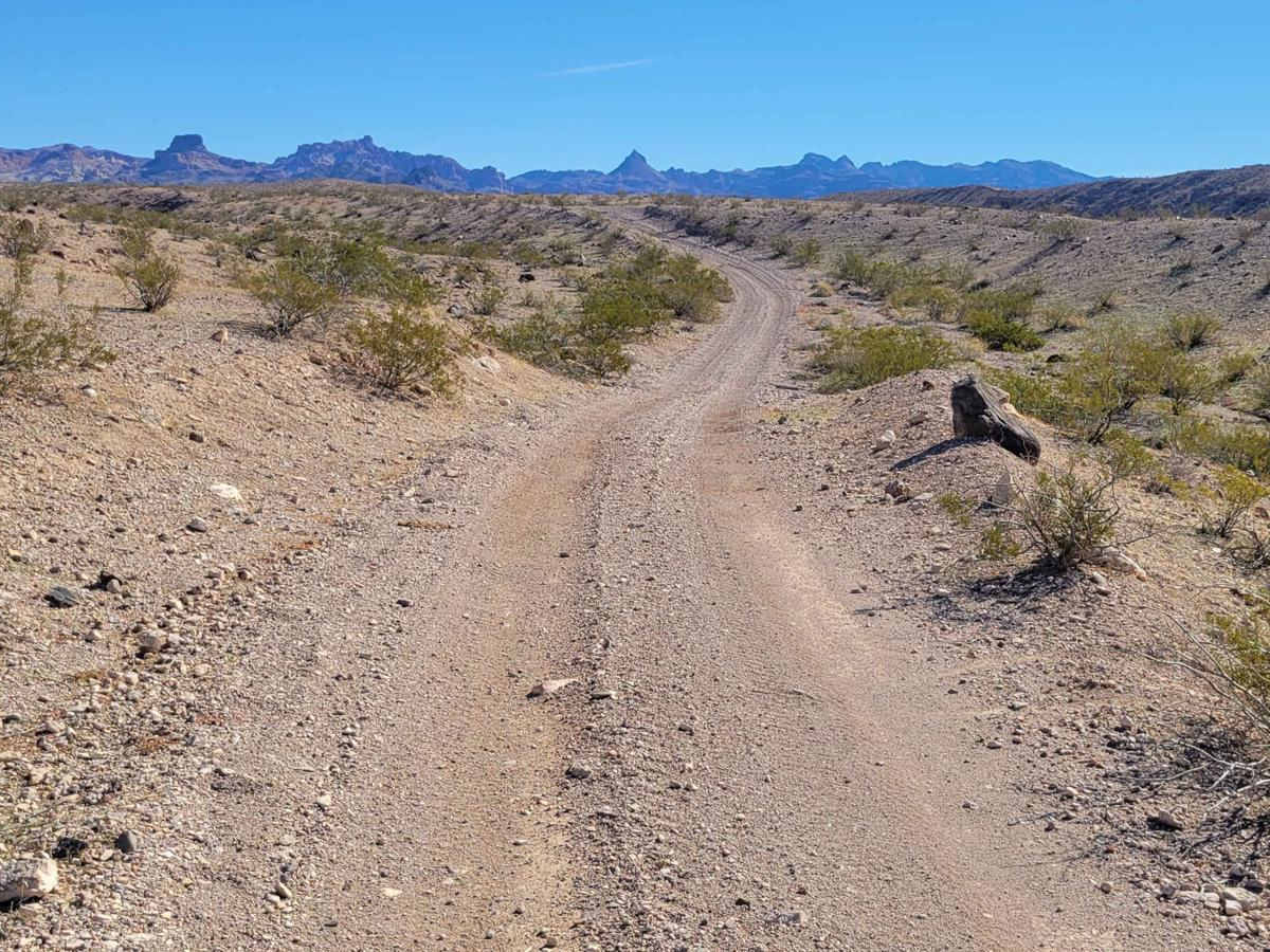 AZ Peace Trail Spur to Davis Camp (West) photo 6