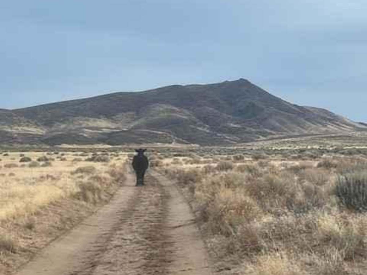 Dry Valley Rim photo 2