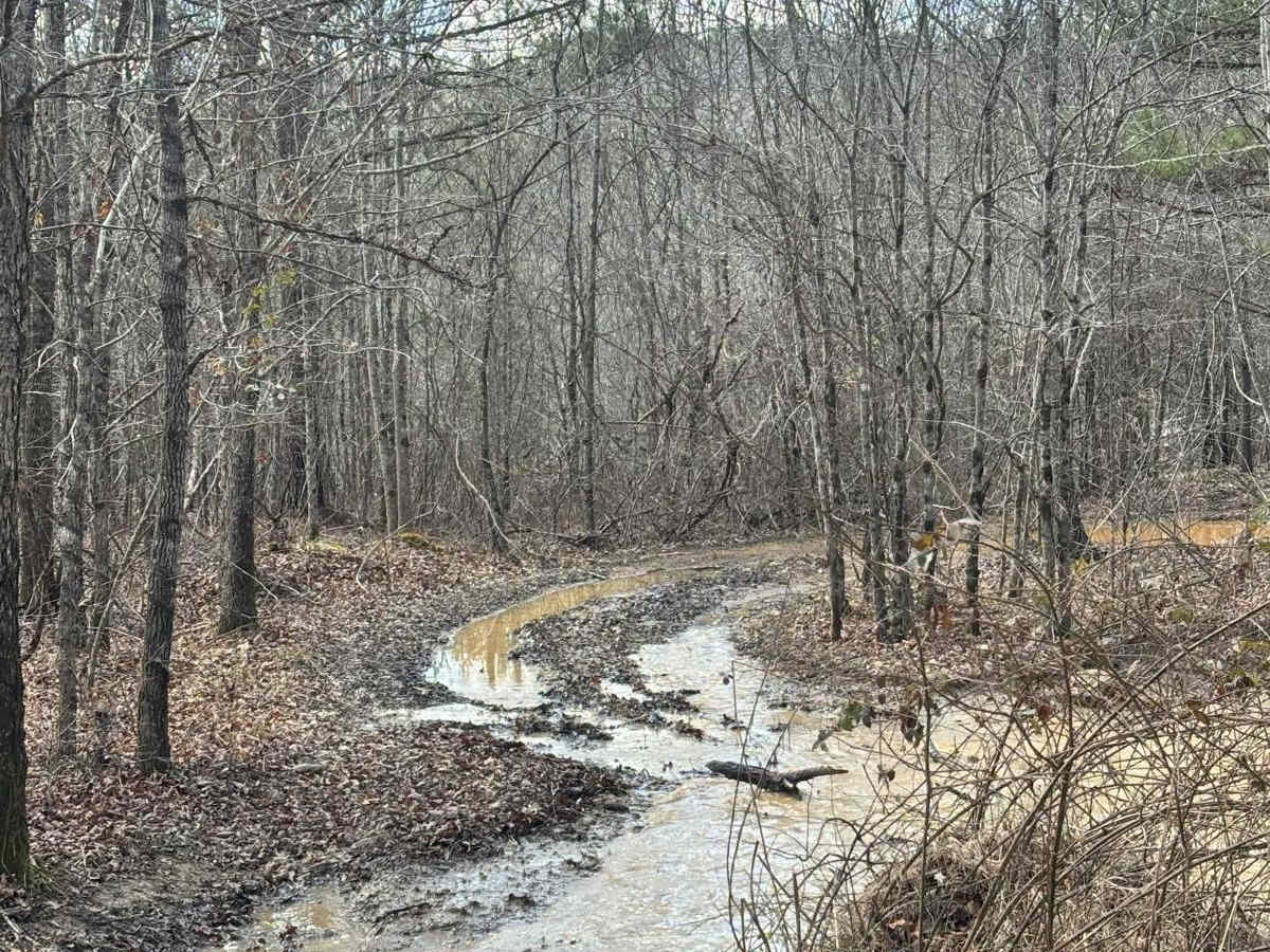 Mule Road photo 2