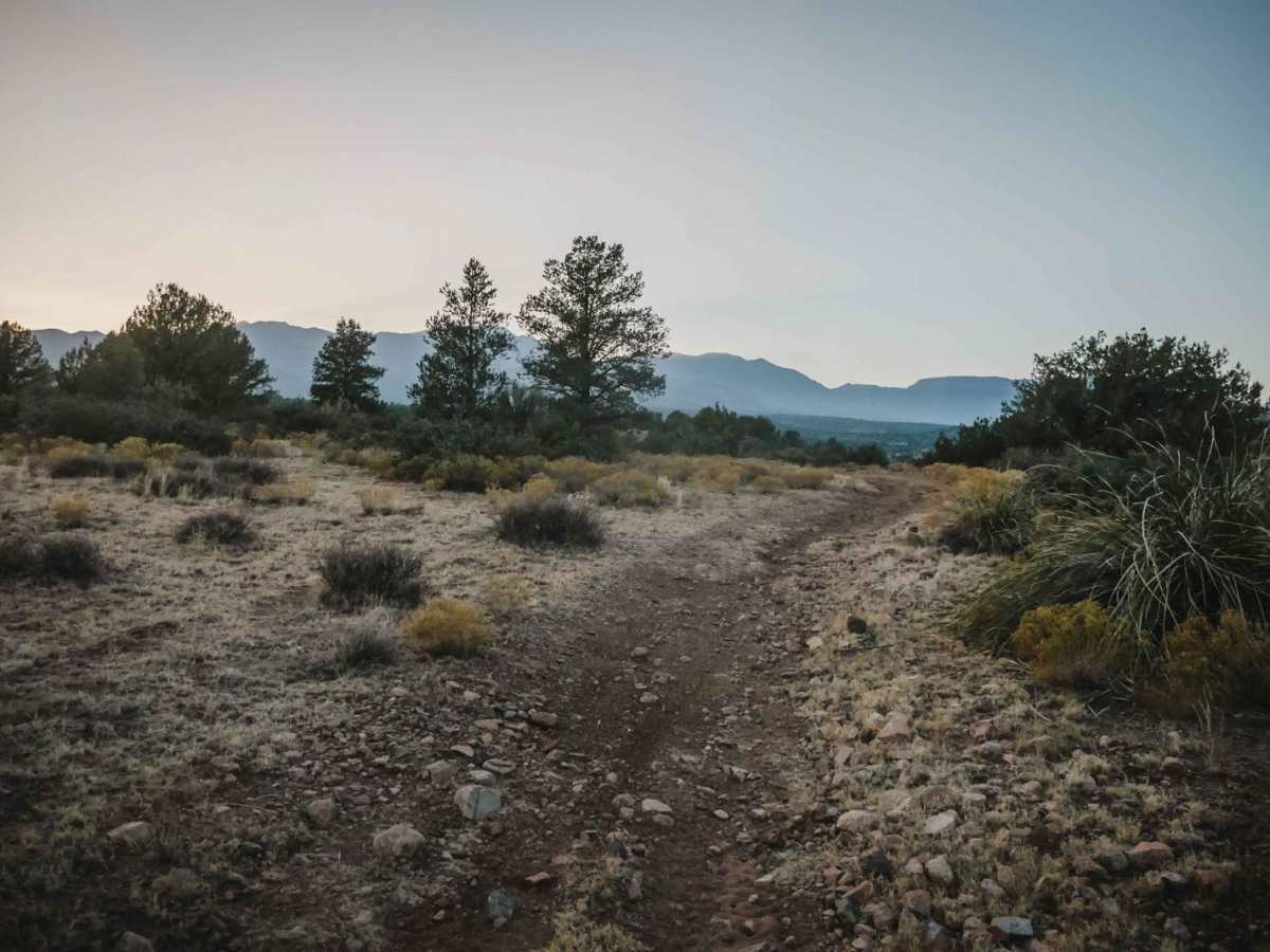 Aultman #546 trail photo