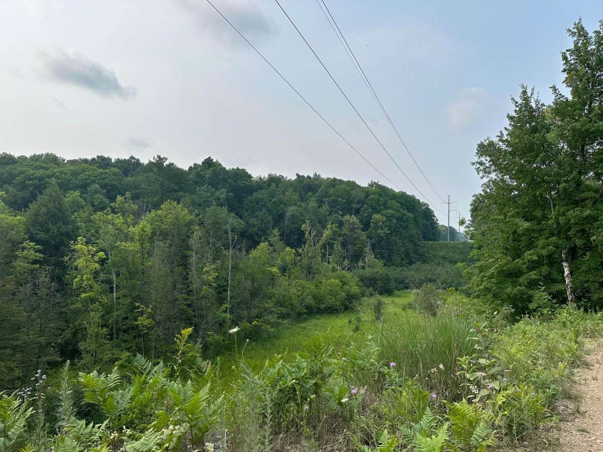 Upper River Road photo 4