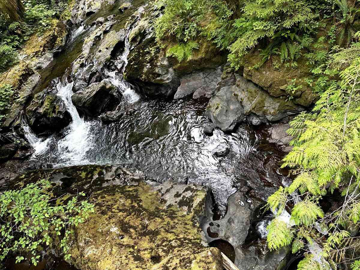 Newberry Creek Road trail photo
