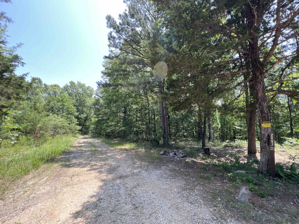 Peter Cave Hollow 2363 photo 3