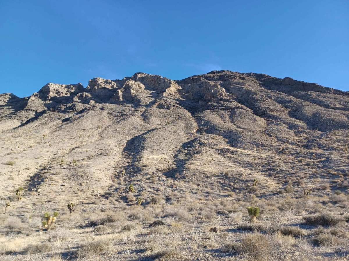 Alamo Road photo 6