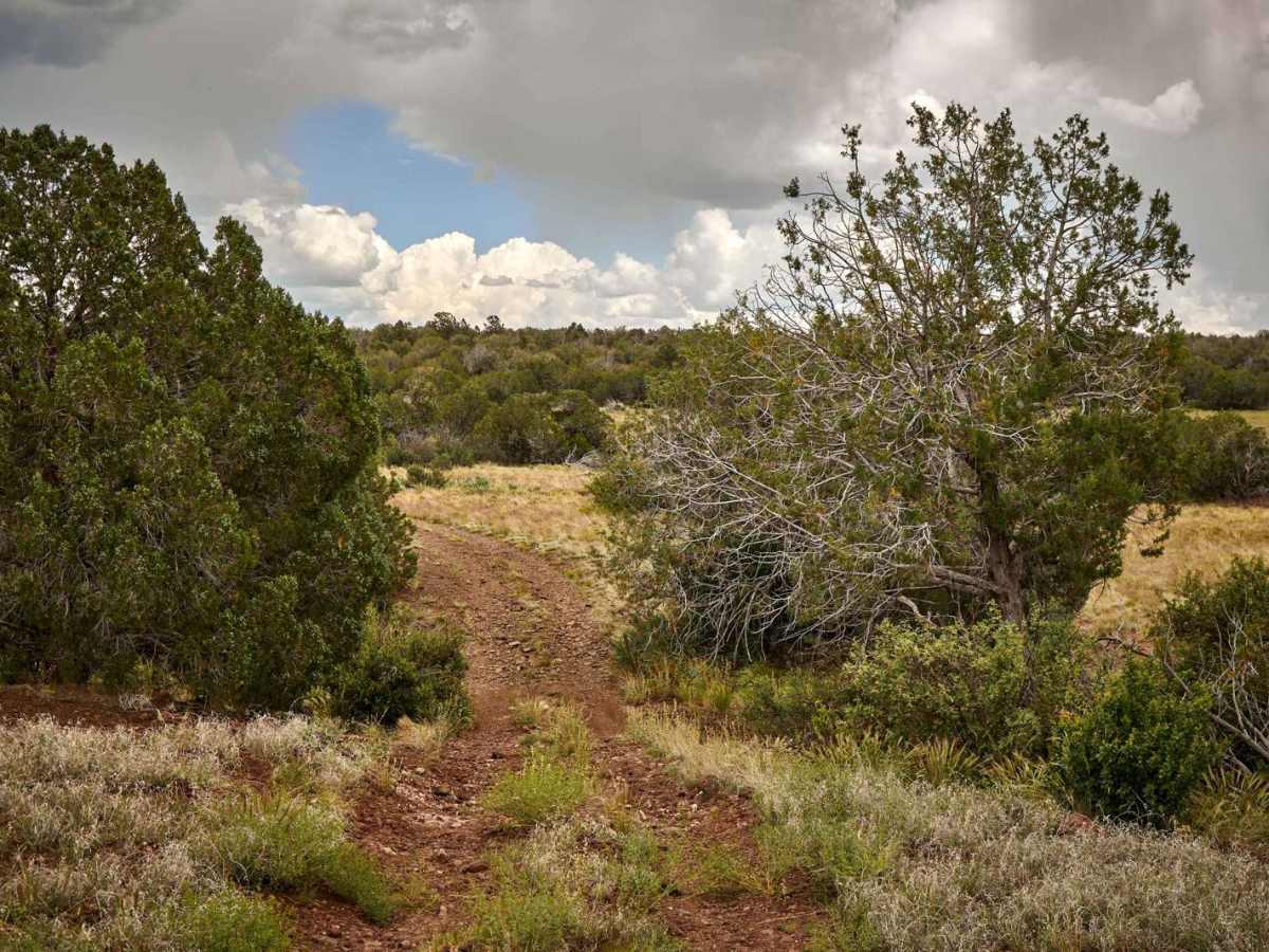 Antelope Wash photo 6