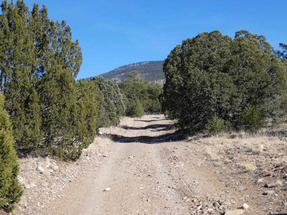Mill Canyon photo 6
