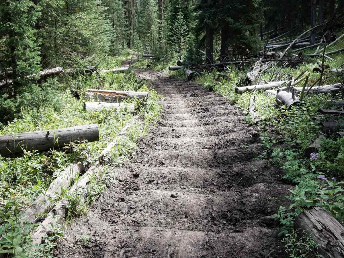Buffalo Horn #1 trail photo