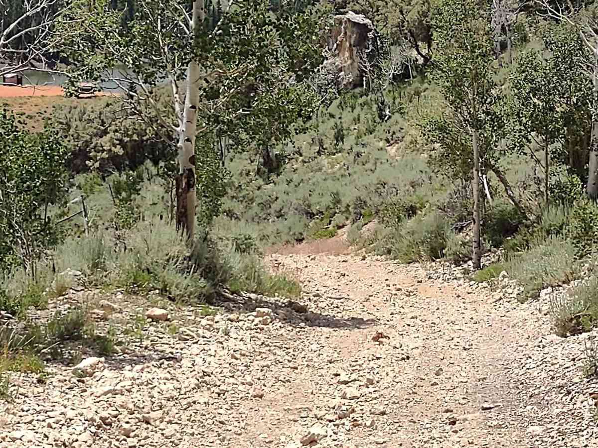 Upper Box Creek Reservoir Dam photo 3