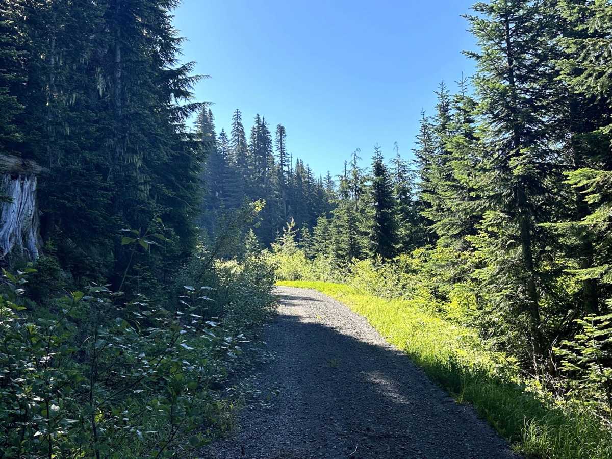 Horse Creek Trail photo 5