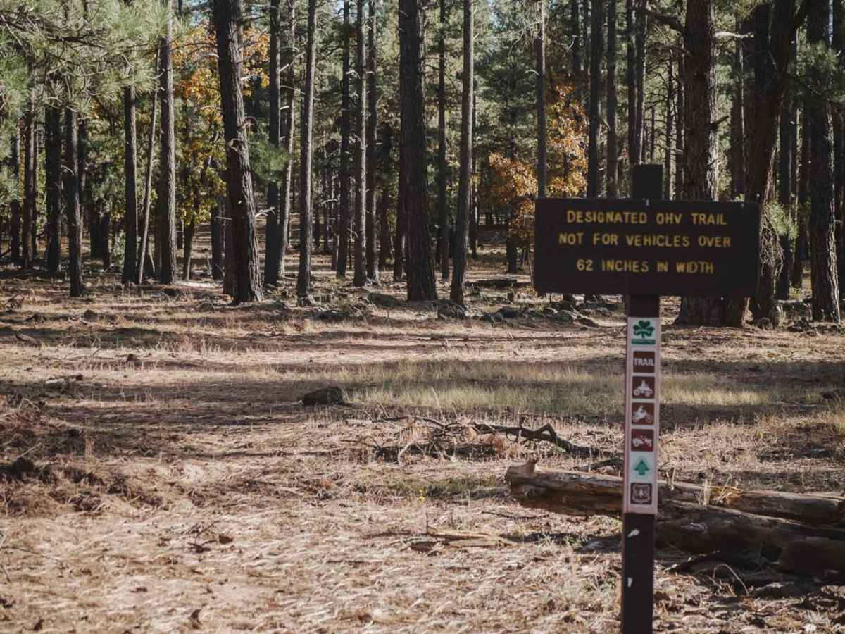 Leap Frog trail photo