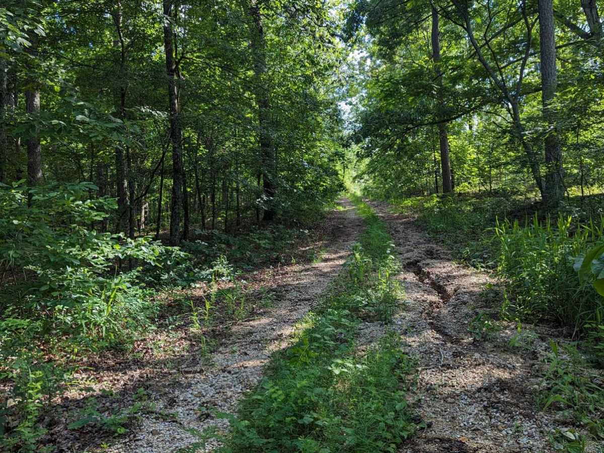 East Kelly Ridge photo 3