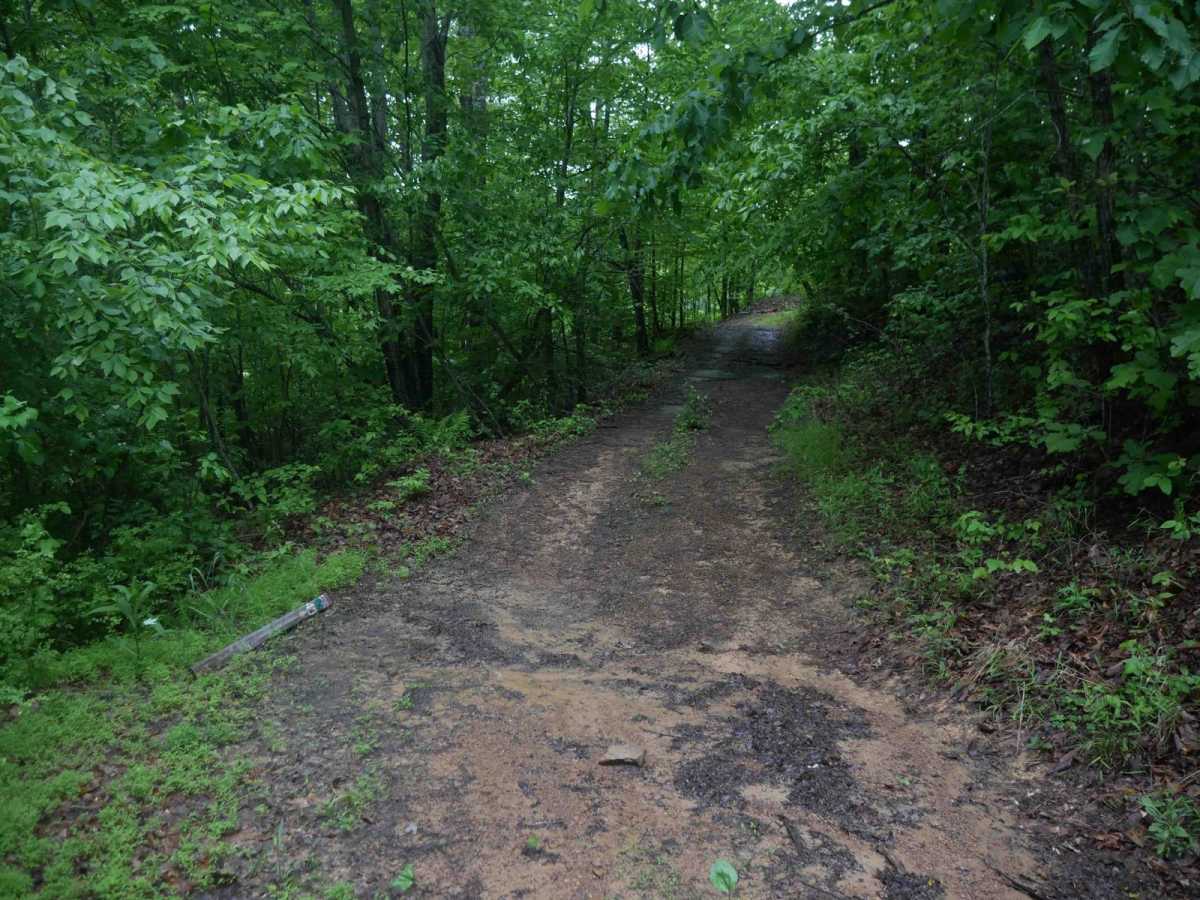 CC71 trail photo