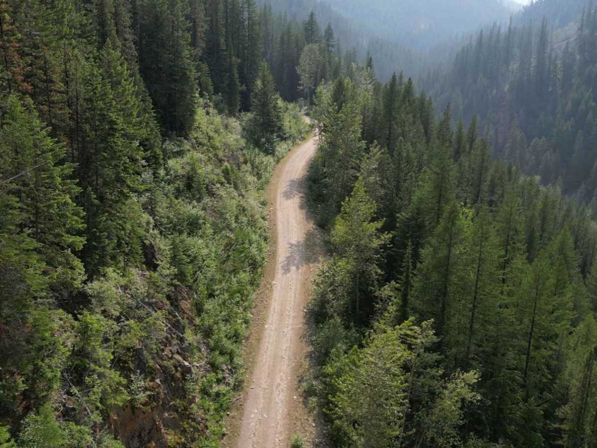 Skelly Creek FSR photo 5