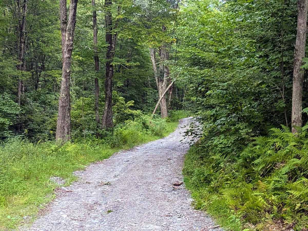 Old Macedonia Road photo 5