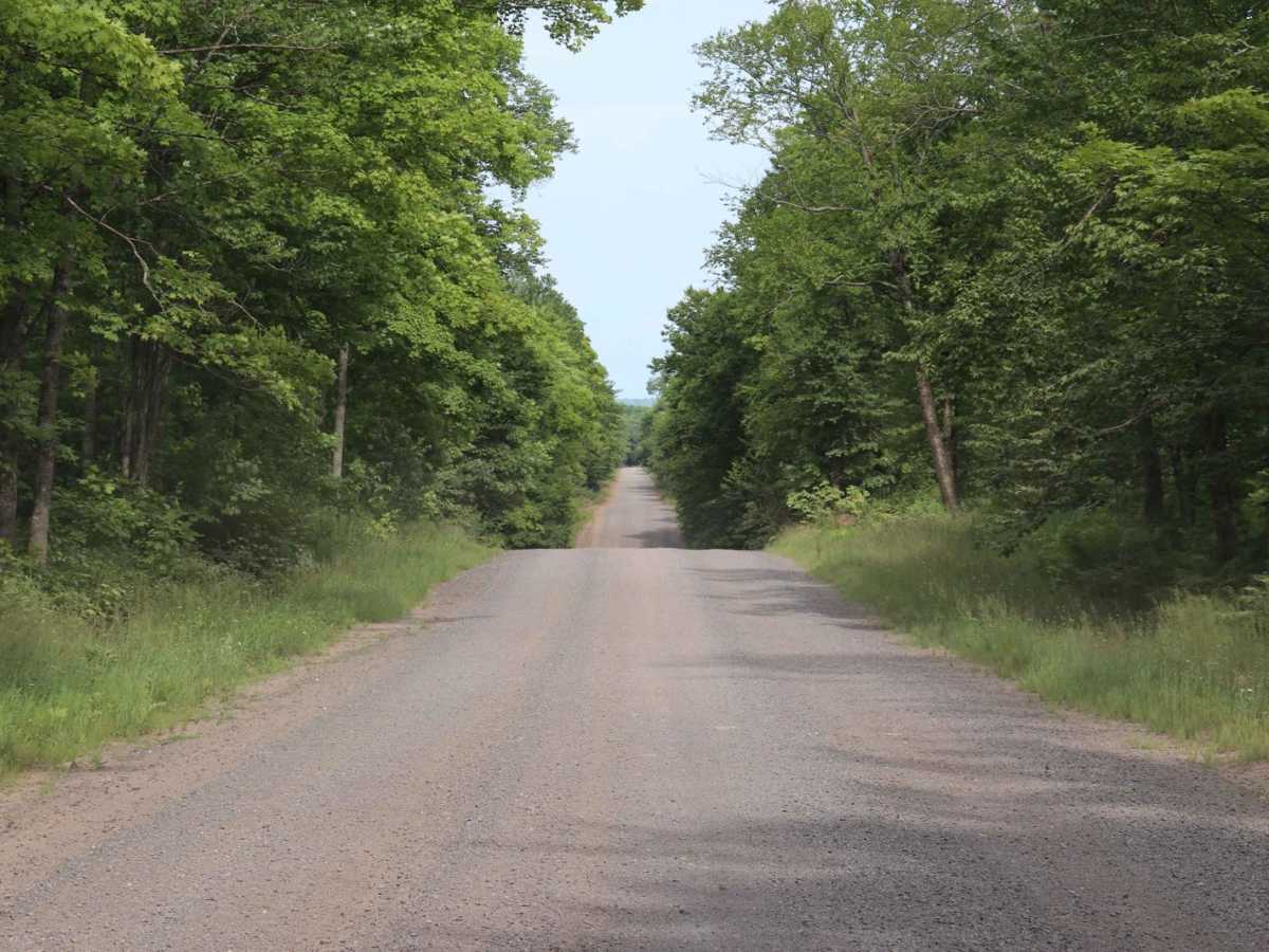 Pike Lake Road trail photo