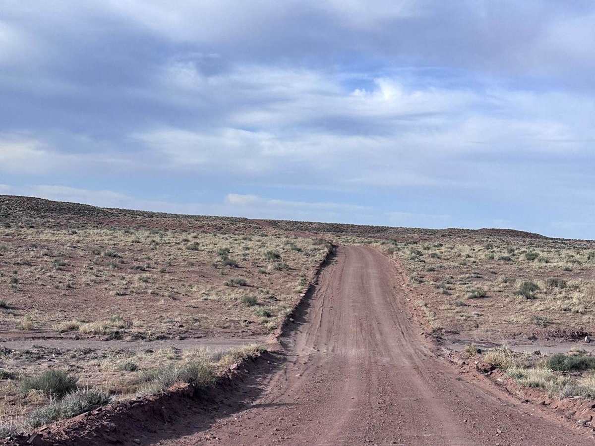 Ten Mile Road photo 3