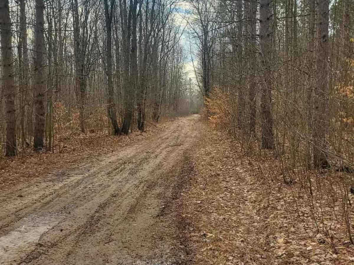 Gopher Run trail photo