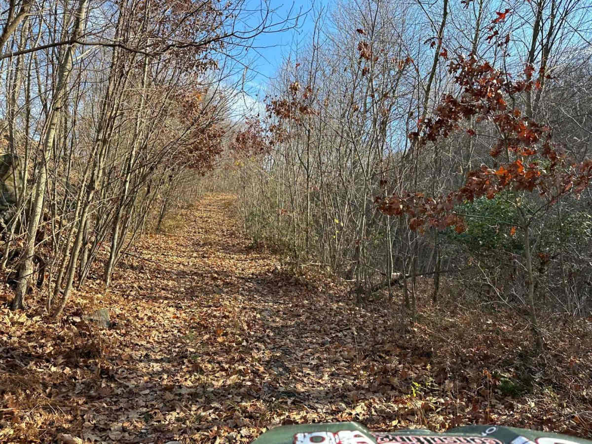 Ashland 153 trail photo