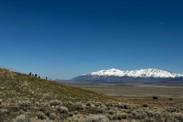 Davis Mountain Loop